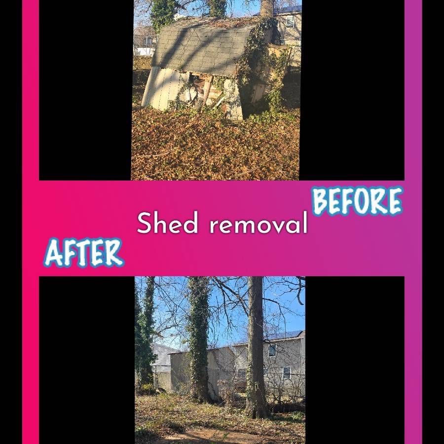 Trash and Junk Removal, Services